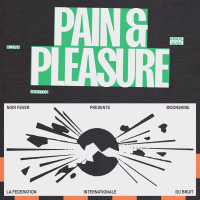 Pain & Pleasure (feat. VANYFOX & Fédération Internationale du Bruit) (Single)