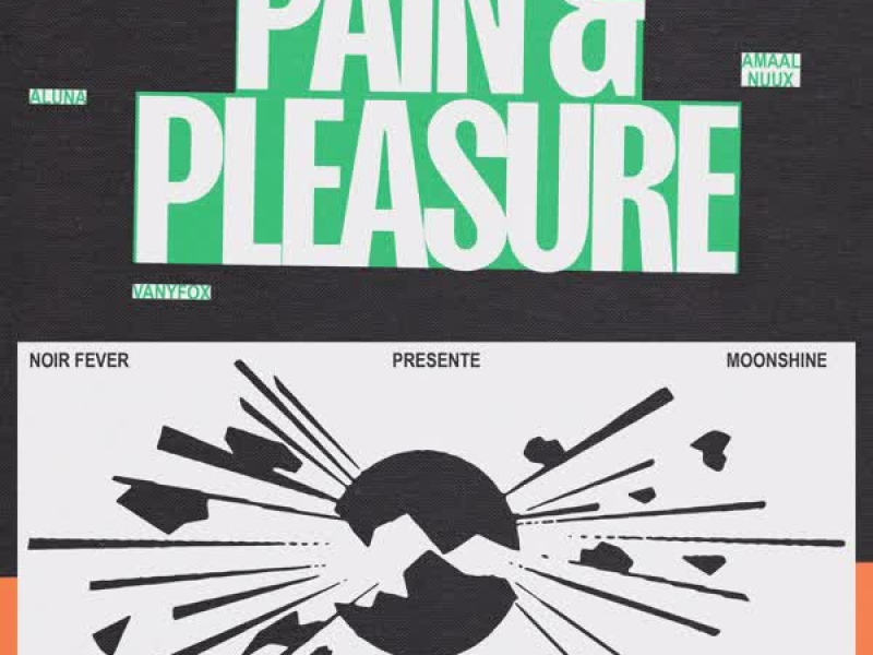 Pain & Pleasure (feat. VANYFOX & Fédération Internationale du Bruit) (Single)