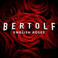 English Roses (Single)