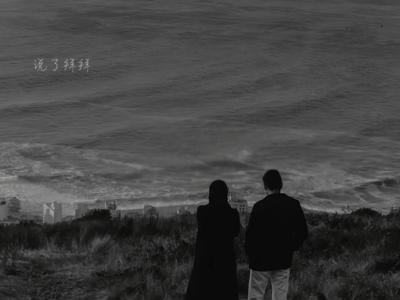 说了拜拜 (Single)