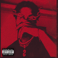 VULTUS AENIGMA (Single)