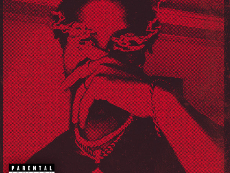 VULTUS AENIGMA (Single)