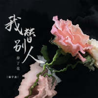 我替别人养了花 (Single)