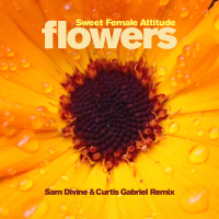 Flowers (Sam Divine & Curtis Gabriel Radio Edit) (Single)