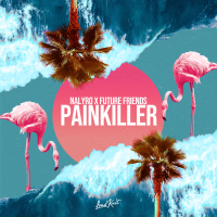 Painkiller (Single)