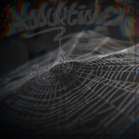 Spindelvæv (Single)