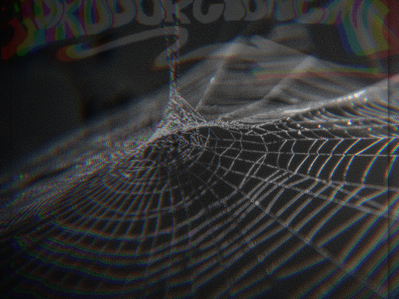 Spindelvæv (Single)