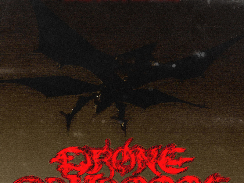 DRONE DAMAGGGE (Single)