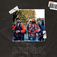 Te Puna (Single)