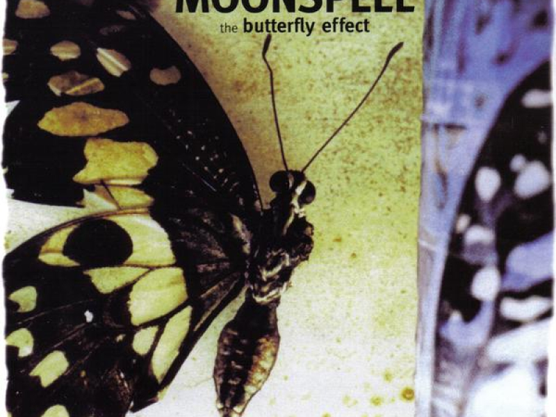 The Butterfly Effect