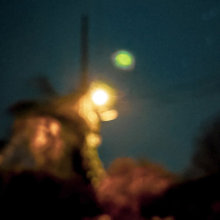 birds that never return (Single)