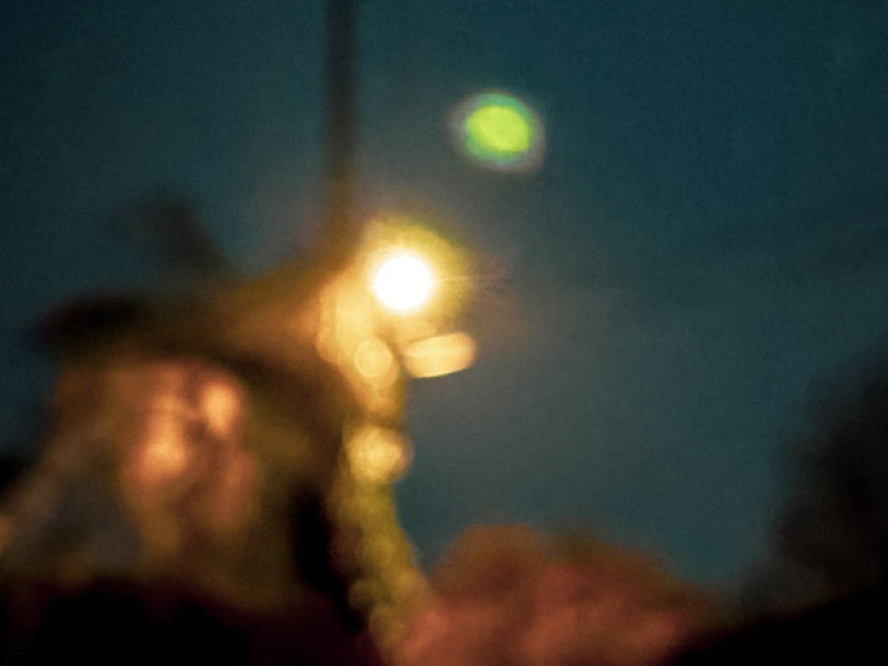 birds that never return (Single)