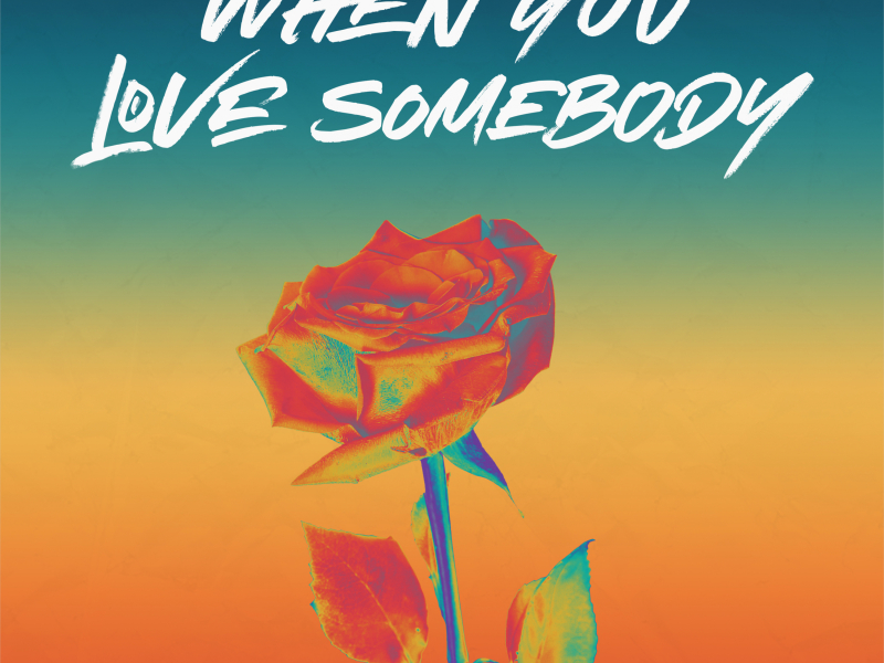 When You Love Somebody