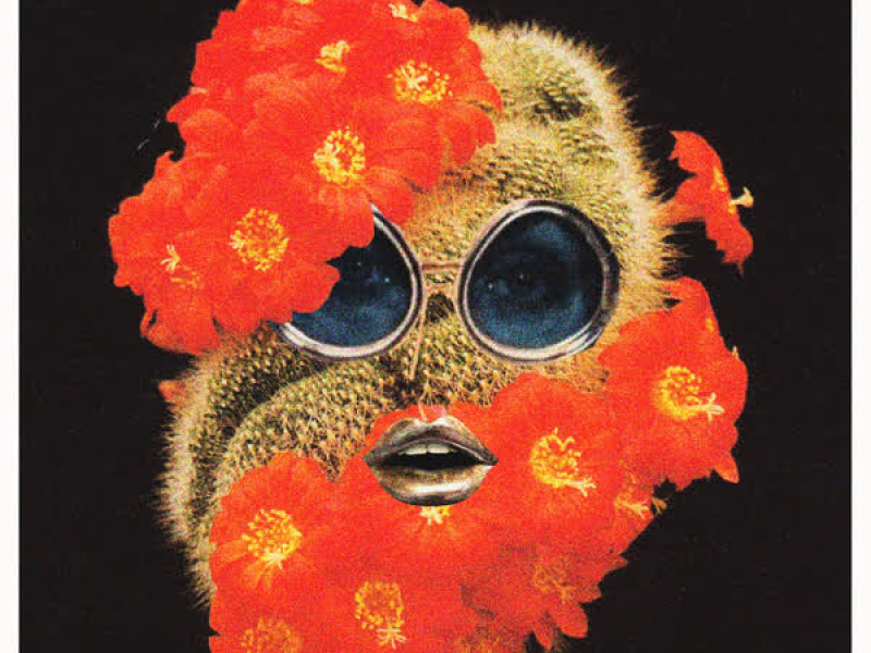 Rolling With The Punches