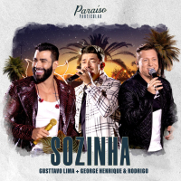 Sozinha (Ao Vivo) (Single)