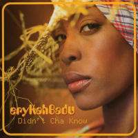 Didn't Cha Know (Single)