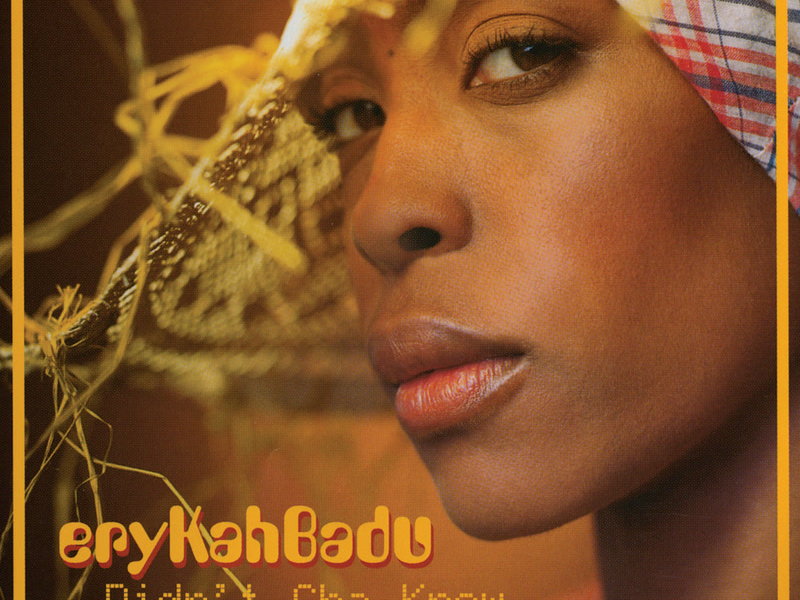 Didn't Cha Know (Single)