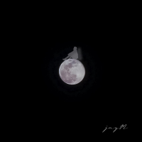 Full Moon, Empty Me (Single)