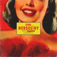 Nerdesin (Single)