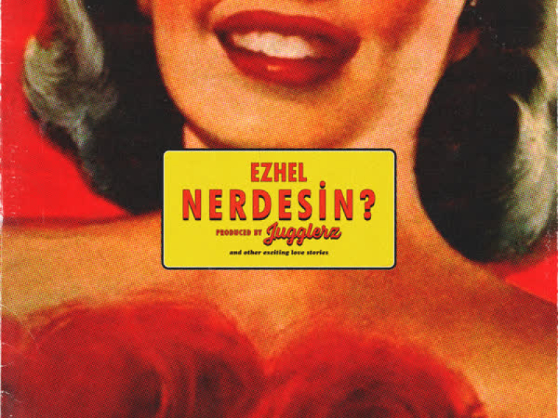 Nerdesin (Single)