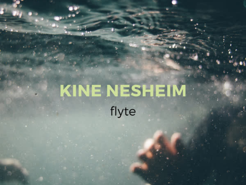 flyte (Single)