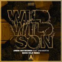 Wild Wild Son (Devin Wild Remix) (Single)