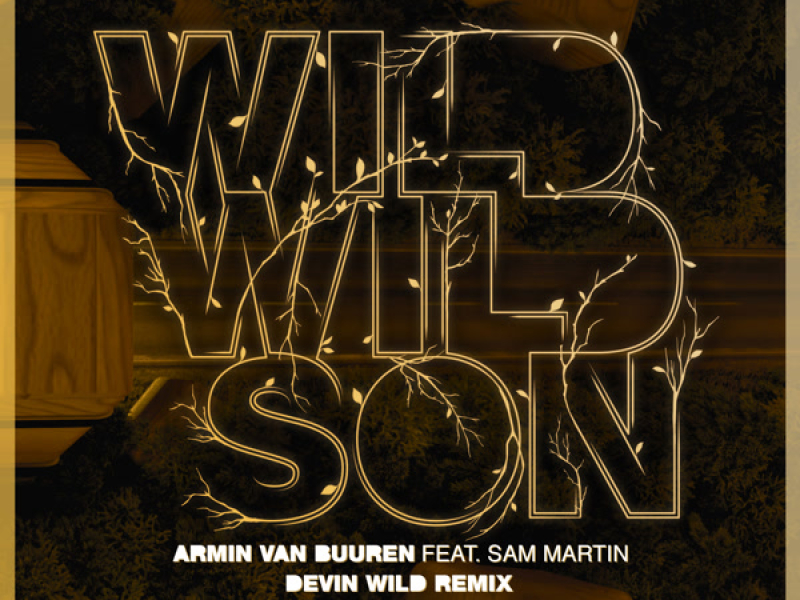 Wild Wild Son (Devin Wild Remix) (Single)