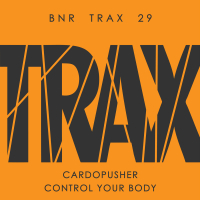 Control Your Body (EP)