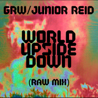World Upside Down (Raw Mix) (Single)