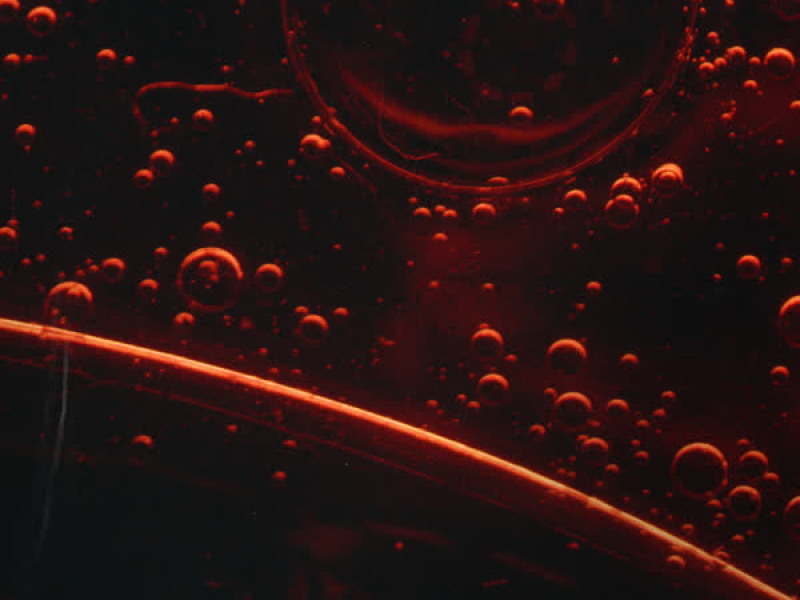 Fire (with Elderbrook) (Single)