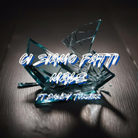 Ci Siamo Fatti Male (Single)