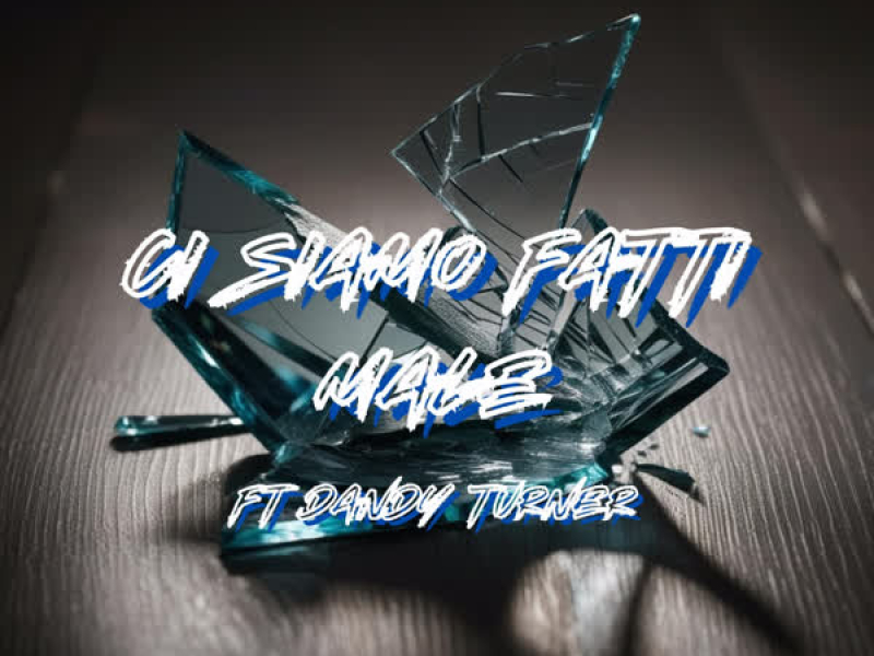 Ci Siamo Fatti Male (Single)