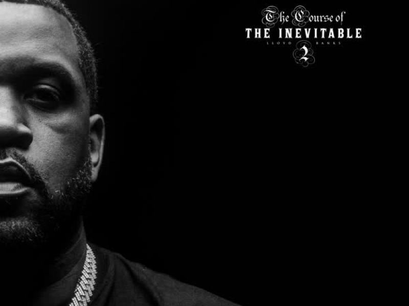 The Course of the Inevitable 2