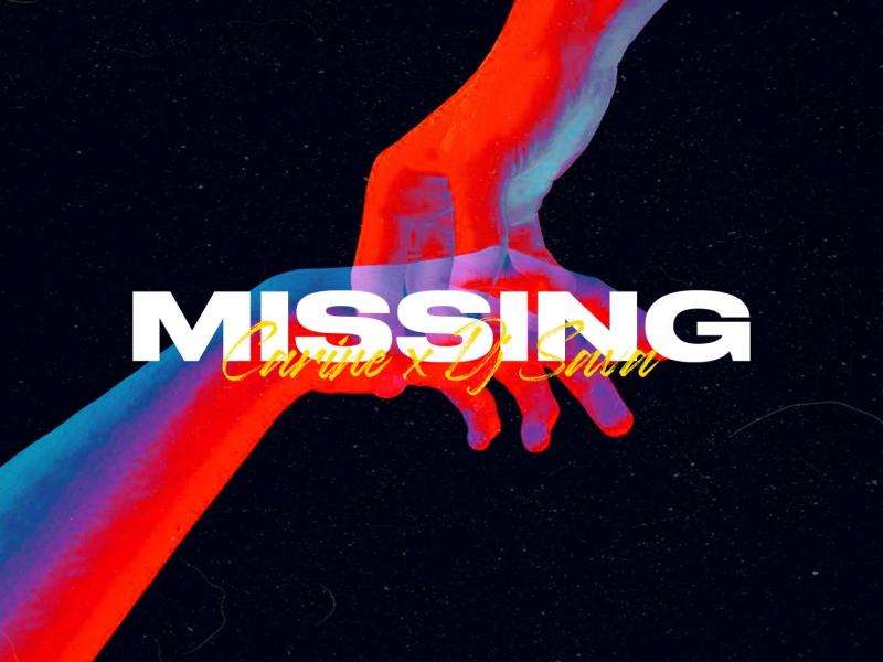 Missing (Single)