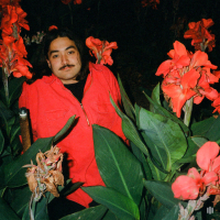 Autumn Collection (Single)