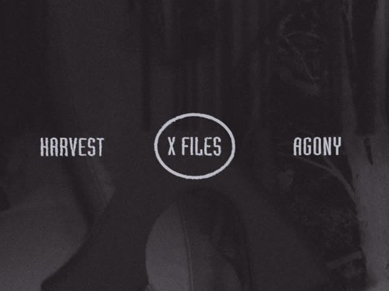 X FILES (Single)