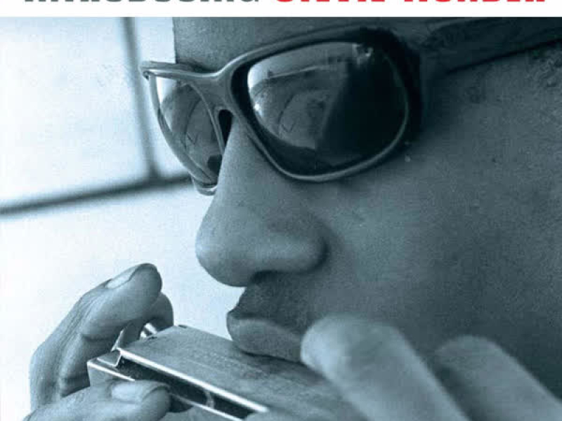 Introducing Stevie Wonder