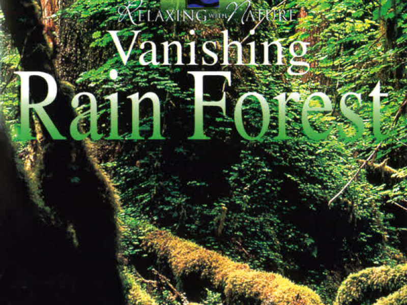 Vanishing Rain Forest