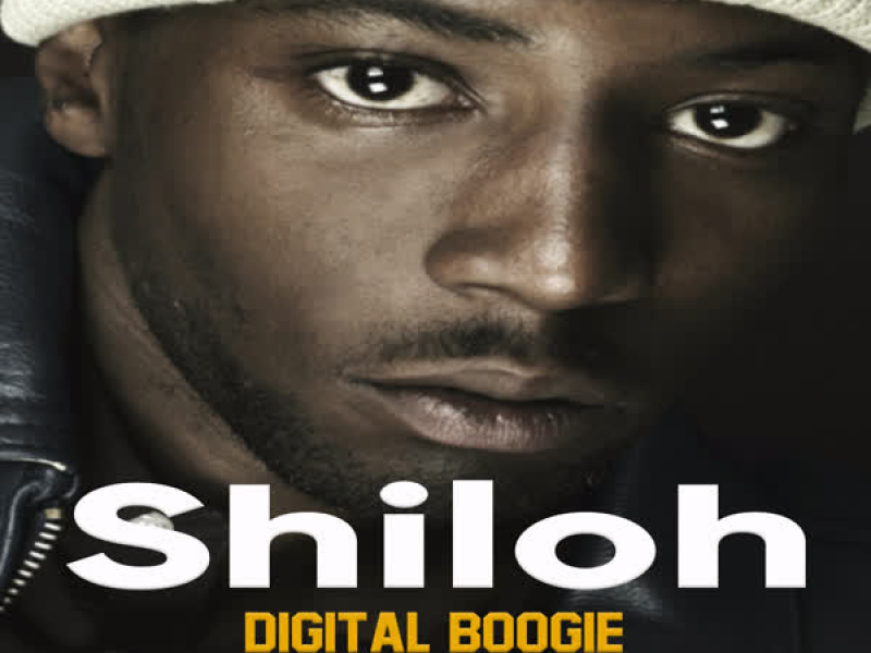 Digital Boogie (Radio Edit) (Single)