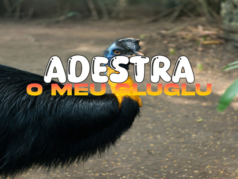 Adestra O Meu GluGlu (Single)