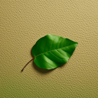 Summer Is Gone (feat. gabi) (Single)