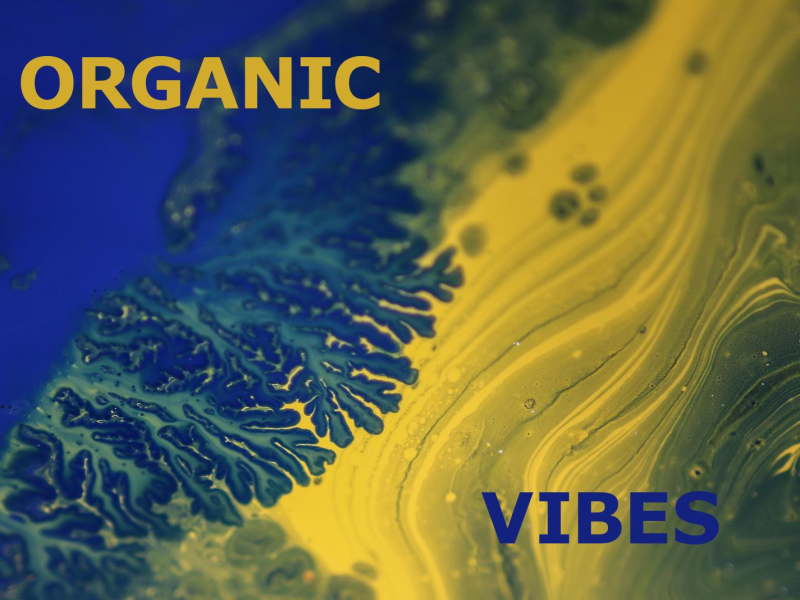 Organic Vibes (Single)