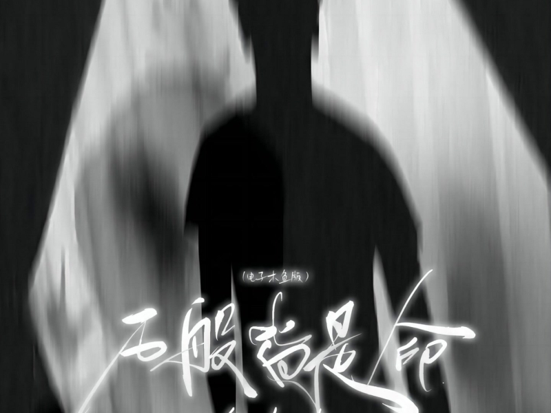 万般皆是命 (电子木鱼版) (Single)