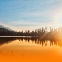 Peaceful Harp And Piano Melodies With Ambient Music And Nature Sounds For Emotional Healing And Sleep (Single)