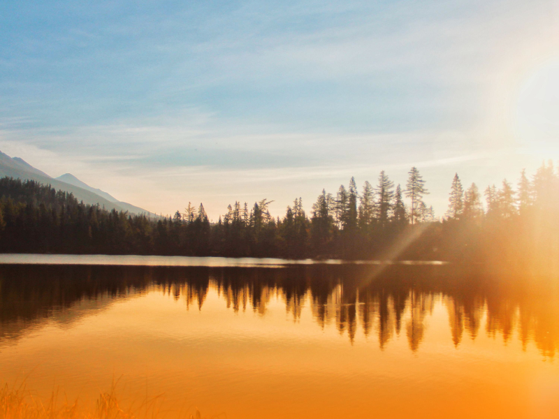 Peaceful Harp And Piano Melodies With Ambient Music And Nature Sounds For Emotional Healing And Sleep (Single)