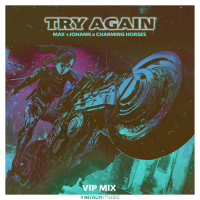 Try Again (VIP Mix) (Single)