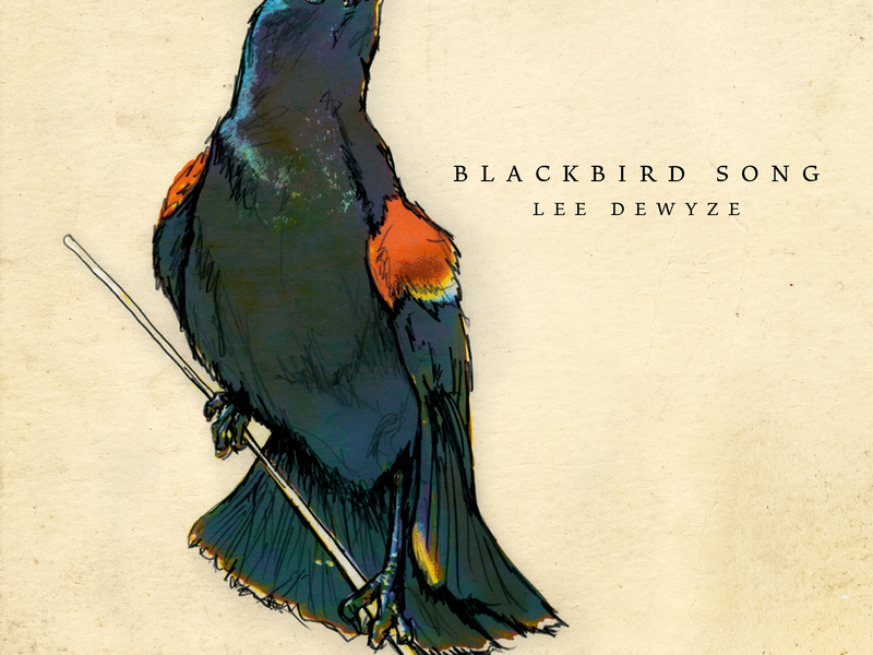 Blackbird Song