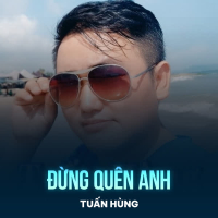Đừng Quên Anh (Chachacha) (Single)