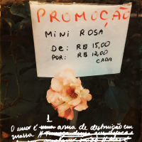 O Amor É 1 Arma de Destruição Em Massa (Single)