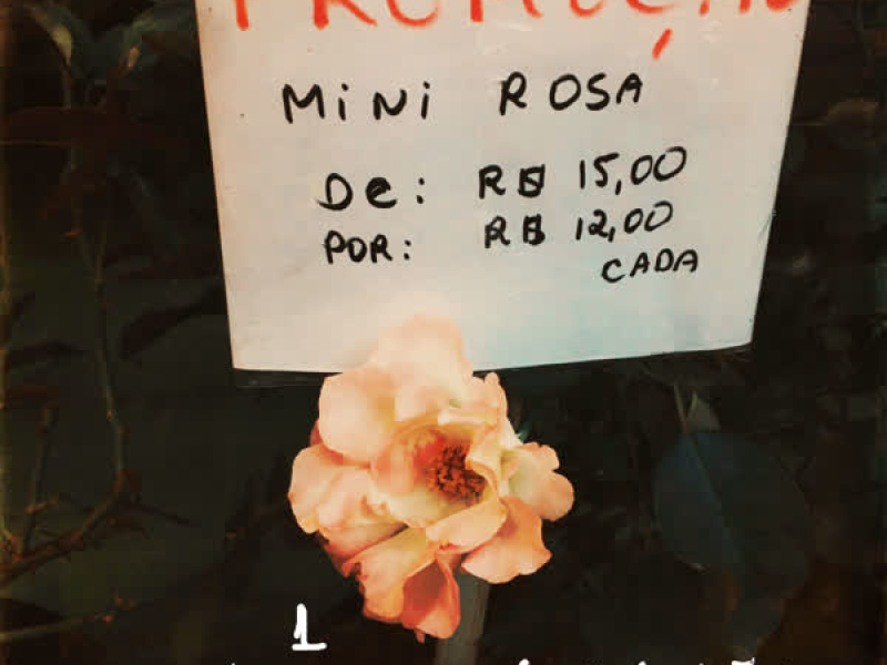 O Amor É 1 Arma de Destruição Em Massa (Single)